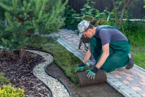 gardener working in a garden